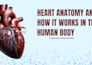 design a professional medical powerpoint presentation